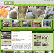 清遠營銷型網站建設公司哪家好